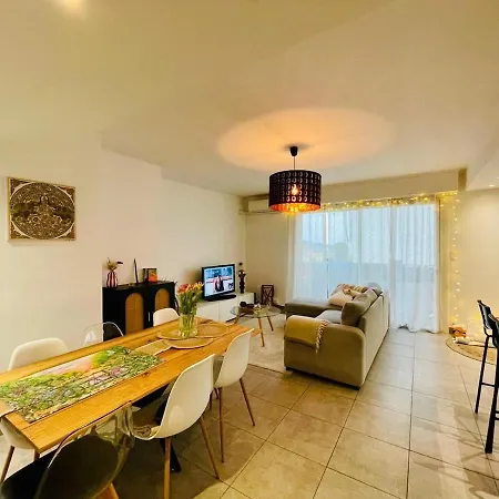 Appartement Bel Lumineux Avec Balcon Le Cannet